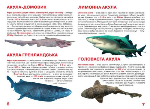 Книга "Велика книга. Акули" (укр)