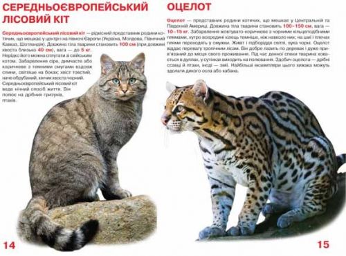 Книга "Велика книга. Дикі кішки" (укр)