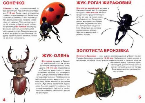 Книга "Велика книжка. Жуки" (укр)