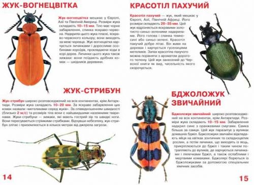 Книга "Велика книжка. Жуки" (укр)