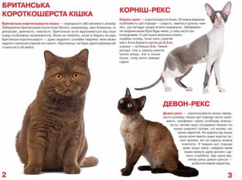 Книга "Велика книга. Кішки" (укр)