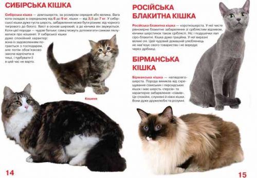 Книга "Велика книга. Кішки" (укр)