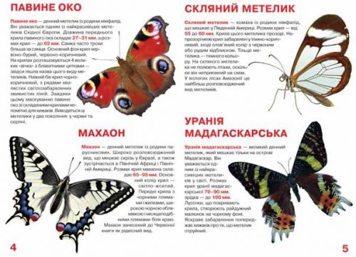 Книга "Велика книга. Метелики" (укр)