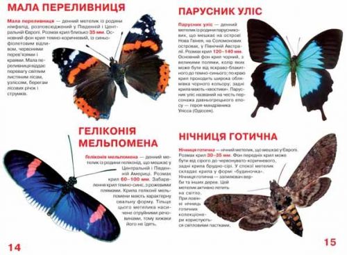 Книга "Велика книга. Метелики" (укр)