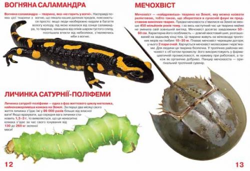 Книга "Велика книга. Рекорди тваринного світу" (укр)