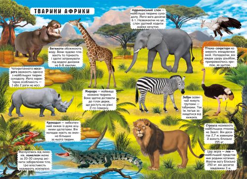 Книжка з віконцями "Відкрий і дізнайся. Тварини планети Земля", укр