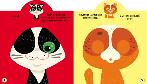 Книга "Играйка-Развівайка. Котики", 69 наклейок (укр)