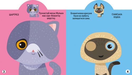 Книга "Играйка-Развівайка. Котики", 69 наклейок (укр)