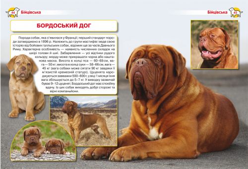 Книга "Енциклопедія. Собаки"  (укр)
