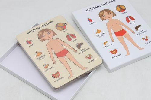 Пазли навчальні "Internal Organs: Дівчинка"