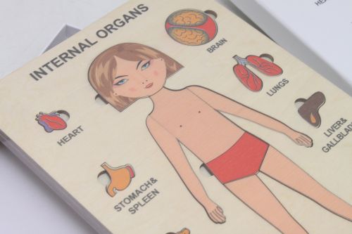 Пазли навчальні "Internal Organs: Дівчинка"