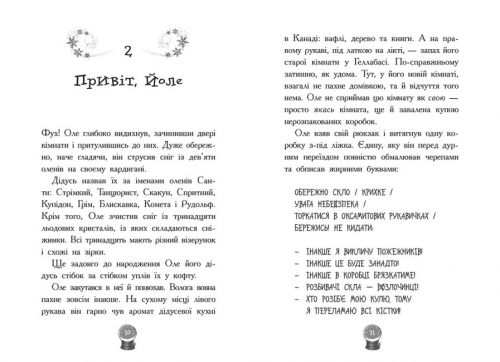 Снігові історії : Мій Єті. Зимове диво для Оле (у)
