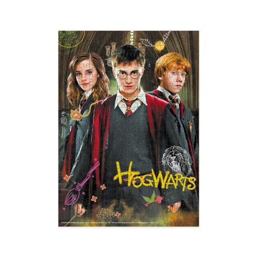 Пазл  "Harry Potter. Гаррі та друзі" Medium-S (250 елем)