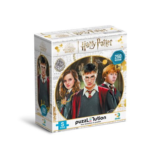 Пазл  "Harry Potter. Гаррі та друзі" Medium-S (250 елем)