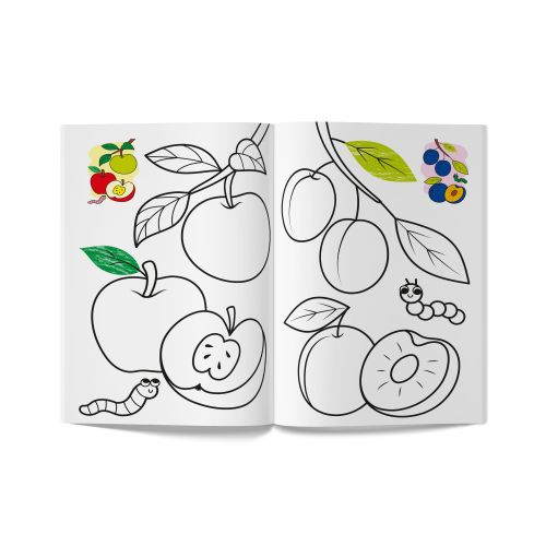 Книга розмальовка "Кольорованка. Фрукти"