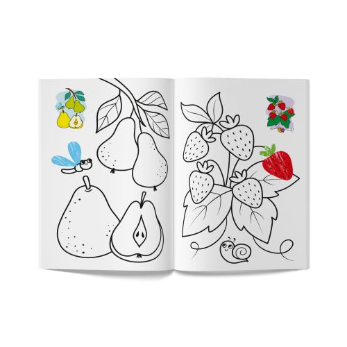 Книга розмальовка "Кольорованка. Фрукти"