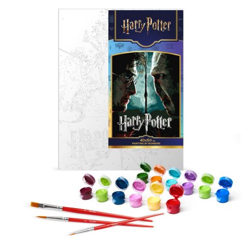 Картина за номерами з фарбами металік "Harry Potter: Гаррі та Волдеморт" 40х50см