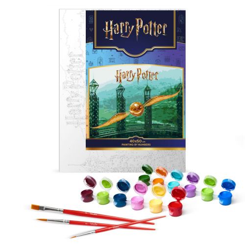 Картина за номерами з фарбами металік "Harry Potter: Золотий Снітч" 40х50см
