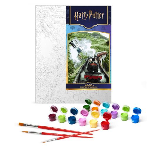 Картина за номерами "Harry Potter: Політ до Гоґвортсу" 40х50см