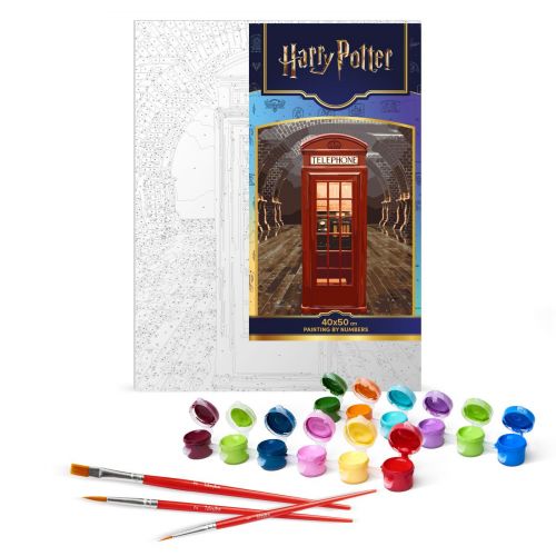 Картина за номерами "Harry Potter: Магічний вхід" 40х50см
